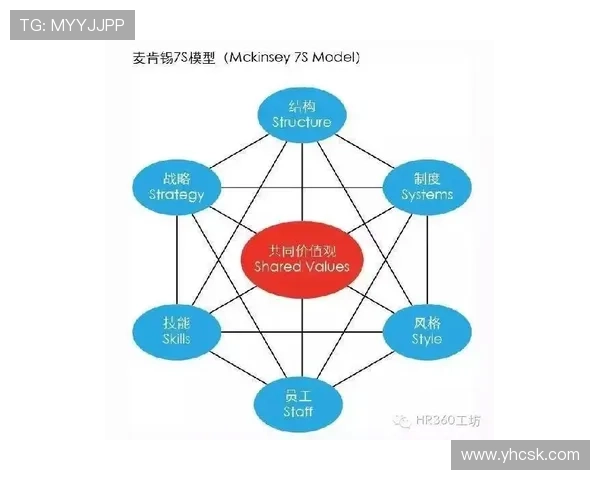 从组织前腰到自由核心：B费角色演变的战术逻辑与功能转型